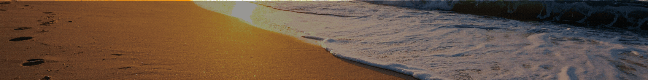 pecera web